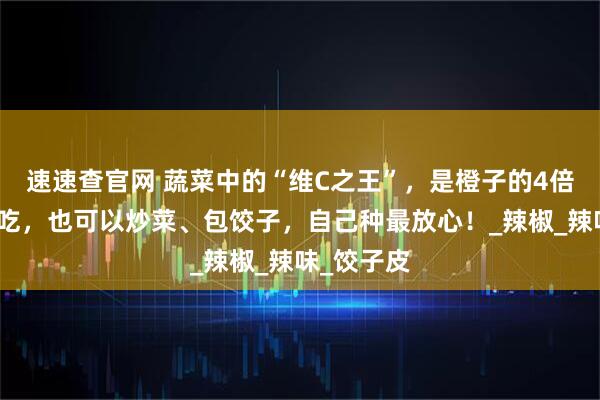 速速查官网 蔬菜中的“维C之王”,是橙子的4倍,可以生吃,也可以炒菜、包饺子,自己种最放心!_辣椒_辣味_饺子皮