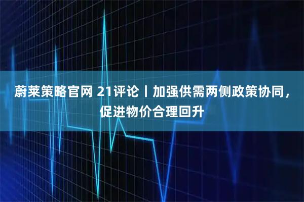 蔚莱策略官网 21评论丨加强供需两侧政策协同,促进物价合理回升